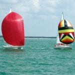 article image -